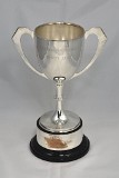 Vice_President's_Trophy